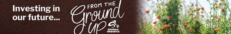 Fundraising Header image